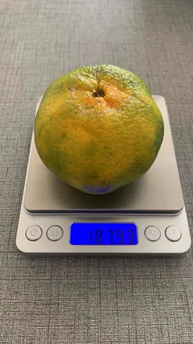 Gramera Pesa Balanza Digital Cocina Joya